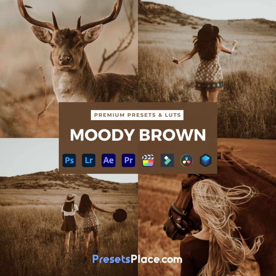 Moody Brown - PresetsPlace